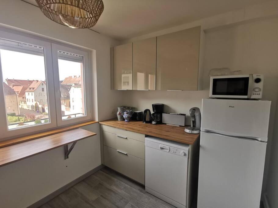 Logement Colmar Centre Avec Parking エクステリア 写真