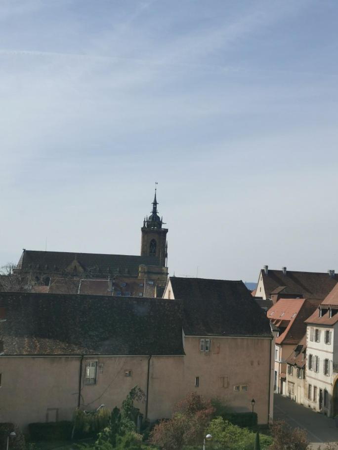 Logement Colmar Centre Avec Parking エクステリア 写真